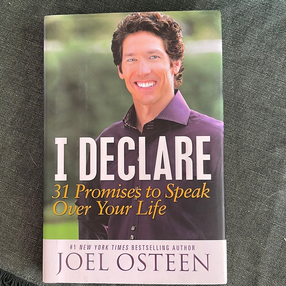 I Declare 31 Promises to Speak Over Your Life book by Joel Osteen